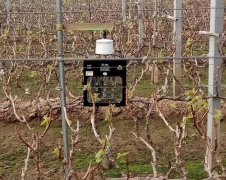 冬季要如何提高蔬菜大棚采光率，激光植物补光