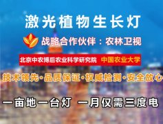 蔬菜种植大棚可这样提高光照-激光植物补光灯