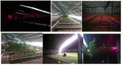 山东淄博光伏温室基地