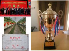 江苏句容市白兔镇草莓专用灯