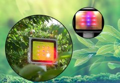 如何选购植物补光灯