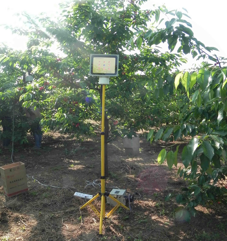 樱桃激光植物补光灯支架