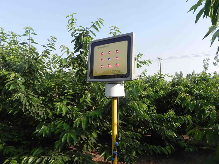 樱桃激光植物补光灯调整