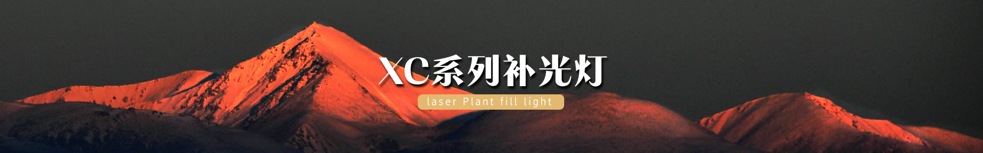 西安同凯科技红皎阳-激光植物补光灯_植物补光灯_植物生长灯_激光植物生长灯_大棚专用植物补光灯