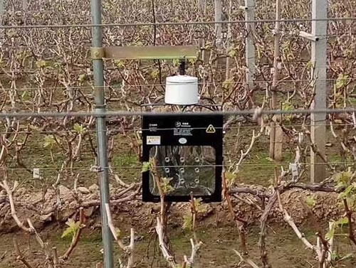 葡萄专用激光植物补光灯