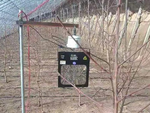 油桃激光植物补光灯