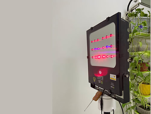 花卉激光植物补光灯