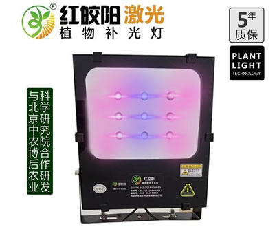 XM20激光植物补光灯