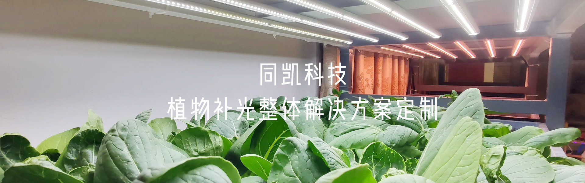 植物补光灯产品中心