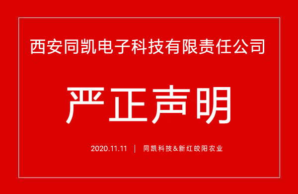 <b>关于网络上仿冒我公司网站进行产品销售的声明</b>