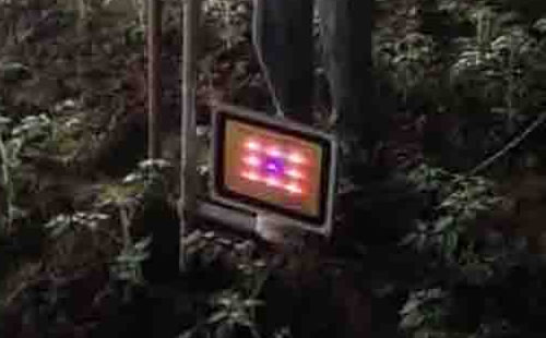 延安市安塞区西红柿大棚安装点