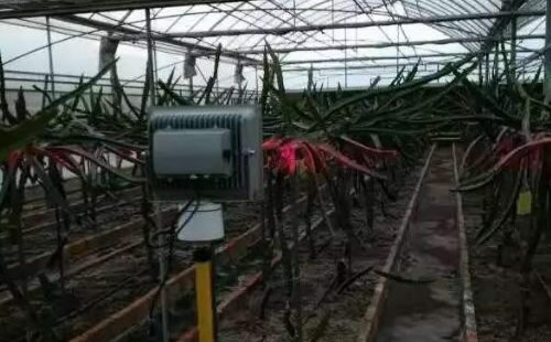 广西省百色市火龙果补光灯安装点