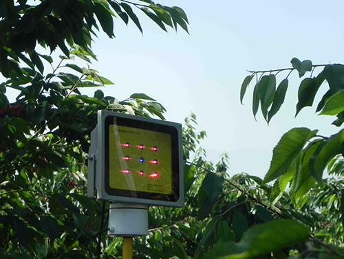 西安市长安区大樱桃观光园安装点