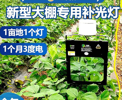 红皎阳激光植物补光灯介绍
