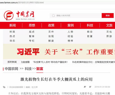 激光植物补光灯在辛集市辛菜园越冬黄瓜使用报道