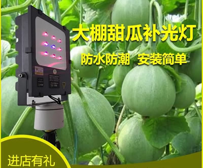 你了解激光植物补光灯，这些好处你必须知道