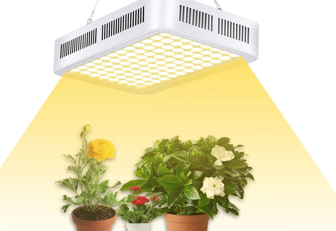 市场上有那些灯可以作为植物补光灯 植物生长灯分类