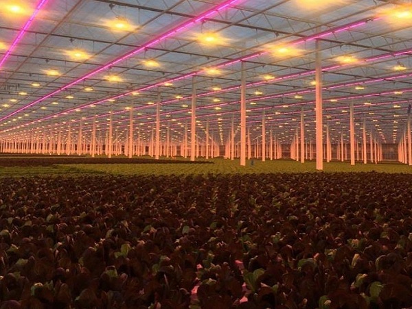 690172712ca76.jpg 12.jpg