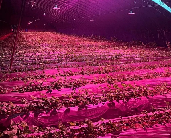 6906ce86800b6.jpg v2-7a44367d9768ab8f0121527234e5b214_r.jpg