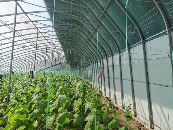 690c02b966c88.jpeg 11.jpeg