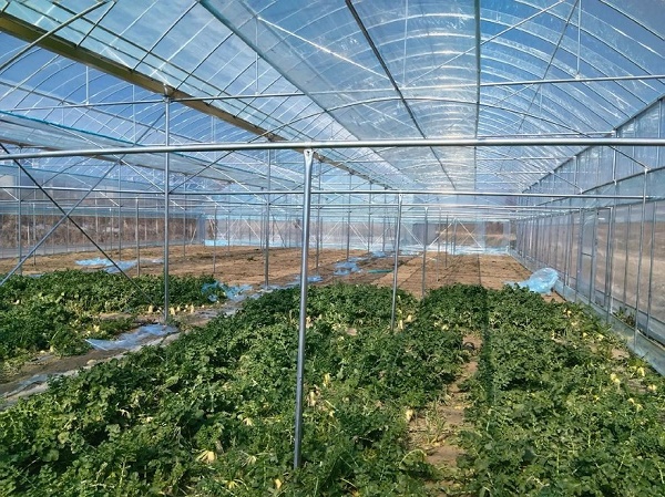 690c0593b7cb4.jpg 85.jpg