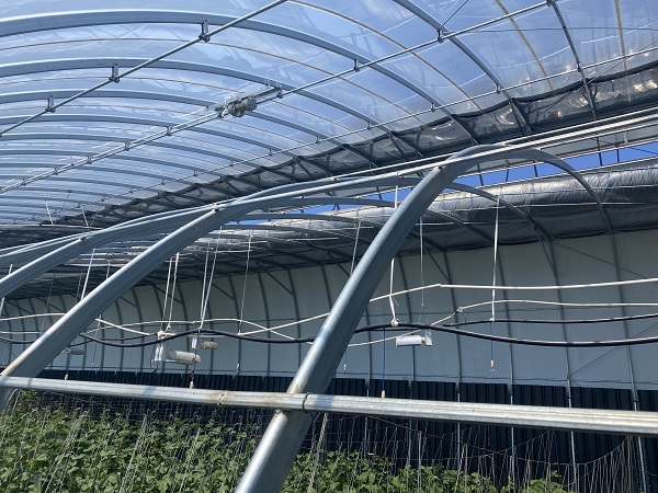 691026f5d955d.jpg 11.jpg