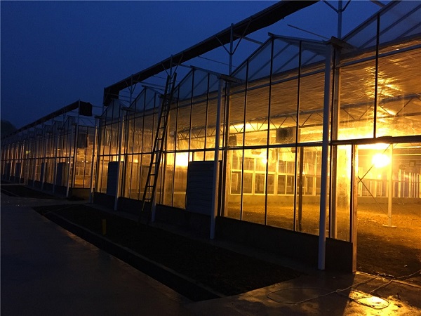 692535bb7cd86.jpg 2.jpg