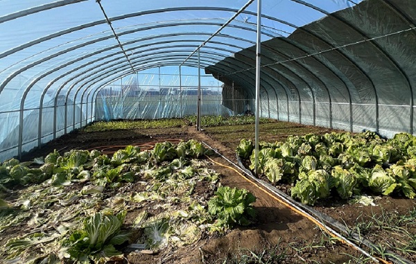 6937aa7b3086f.jpg ac083ae5389c7cab97ee5b18983199e4.jpg