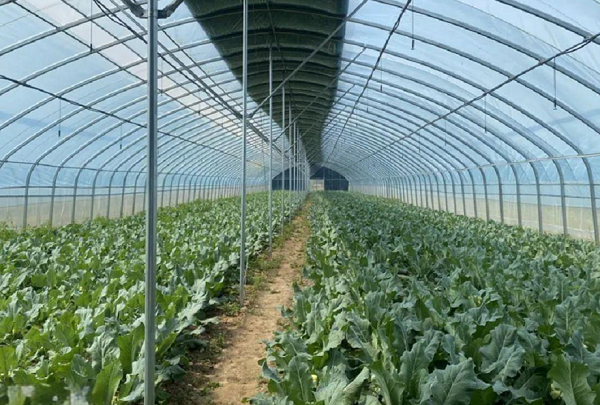 693b9c1b79226.png 6fa1f41467a69002cb3f3cda0cb8df6c.png